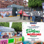 Expulsión de la alcaldesa de Chilpancingo de Morena fue una decisión nacional