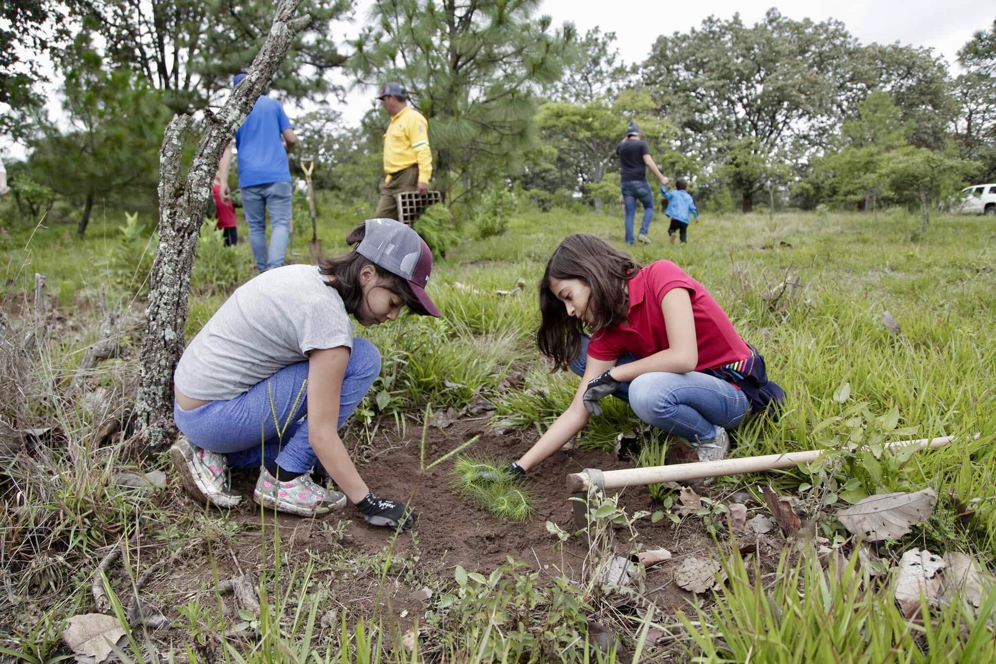 Proponen reforestaciones para recuperar áreas verdes de la Ciudad de México   