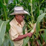 No más fotografías de cadáveres en medios de comunicación.