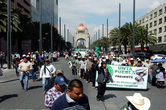 Frágil paridad de género en la política mexicana: IBC