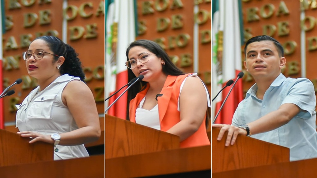 Plantea diputada exhortar a la CFE y a la CNE aplicar tarifa 1F y mejorar red eléctrica en la Costa Chica