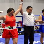 Encabeza Liz Salgado entrega de estufas ecológicas en la región Montaña