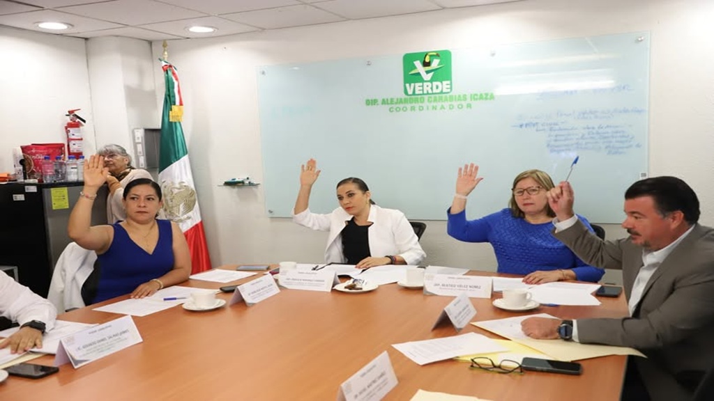 Exigen frenar altos niveles de contaminación de la Termoeléctrica de Petacalco