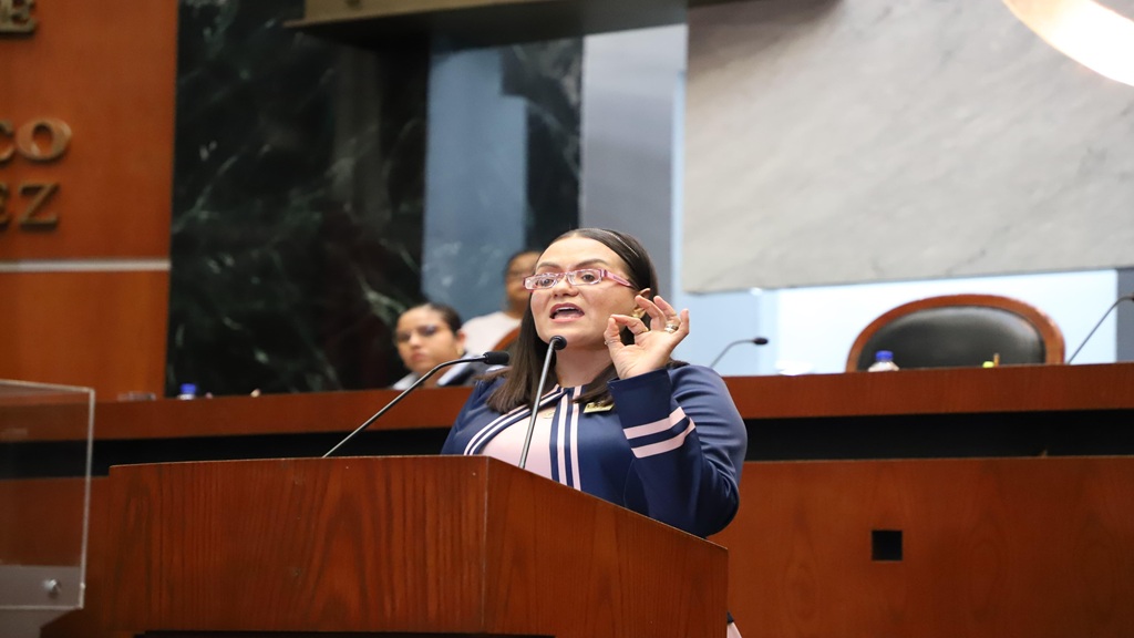 Formalizan impugnación a la reforma judicial hecha en Guerrero