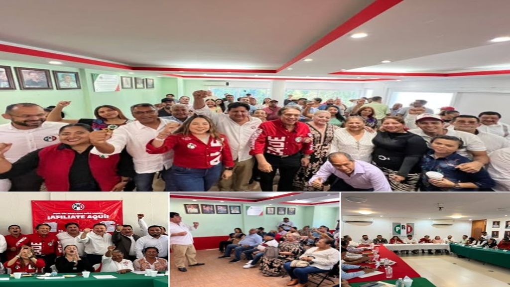 Decide el PRI ir sin alianzas en próximas elecciones locales y federales