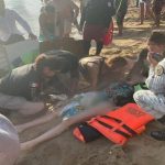 Cae célula criminal ligada a delitos de alto impacto en CDMX; los capturan en Acapulco