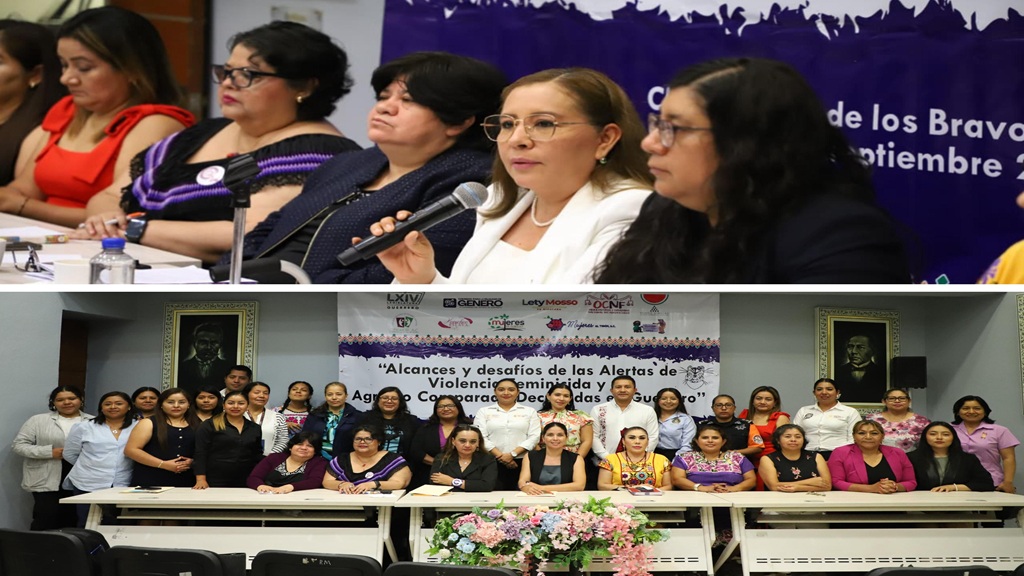 Analizan Congreso y organizaciones avances de alertas de género en Guerrero