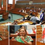 Aprueba el Congreso reforma para reconocer la “Discapacidad Intelectual” y que reciba la atención adecuada