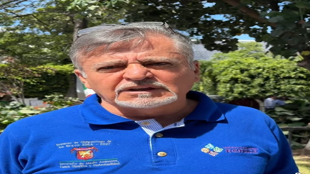 Sancionarán y multarán al director del CREA por el derribo de 40 árboles