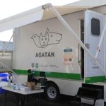 Ipulsa Alberto Vanegas acciones firmes contra la violencia política y la discriminación por género e identidad en procesos electorales