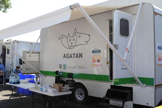 Buscan implementar la “Alerta Frida”