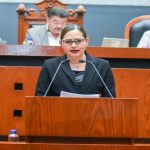 Propone diputada sancionar tomas clandestinas de agua con hasta 12 años de prisión