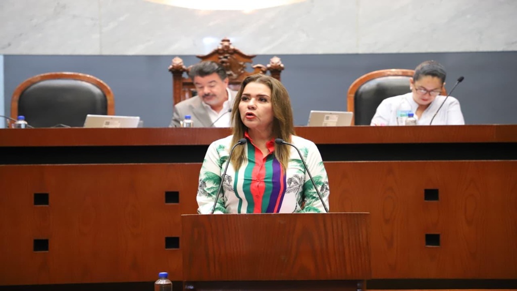 Diputada pide que programa de apoyo para refugios de mujeres víctimas de violencia, no desaparezcan del presupuesto federal 2026