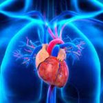 Exhorta el Congreso a limpieza de terrenos baldíos para evitar peligros por moscos y fauna nociva