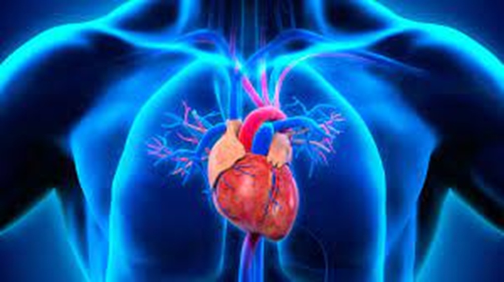 Se mantienen los males del corazón como los más letales en Guerrero: Inegi