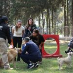 La diversidad también existe arriba del Ring