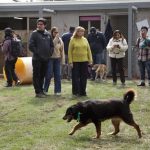 Asume el Gobierno de la Ciudad de México un reto para el que no estaba preparado con el Refugio Franciscano: Movimiento Ciudadano