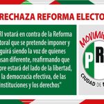 Reformas para regular albergues animales en la capital serán bajo consulta y consenso, asegura Clara Bugada