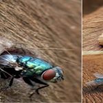 Posibles recortes al presupuesto estatal en 2026 no afectarán la obra pública