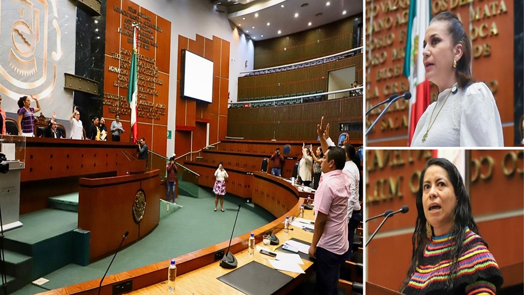 Congreso exhorta a municipios a destinar recursos para fortalecer campamentos tortugueros en Guerrero