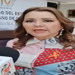 PVEM expresa su desacuerdo con varios temas de la reforma electoral federal