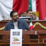 PVEM expresa su desacuerdo con varios temas de la reforma electoral federal