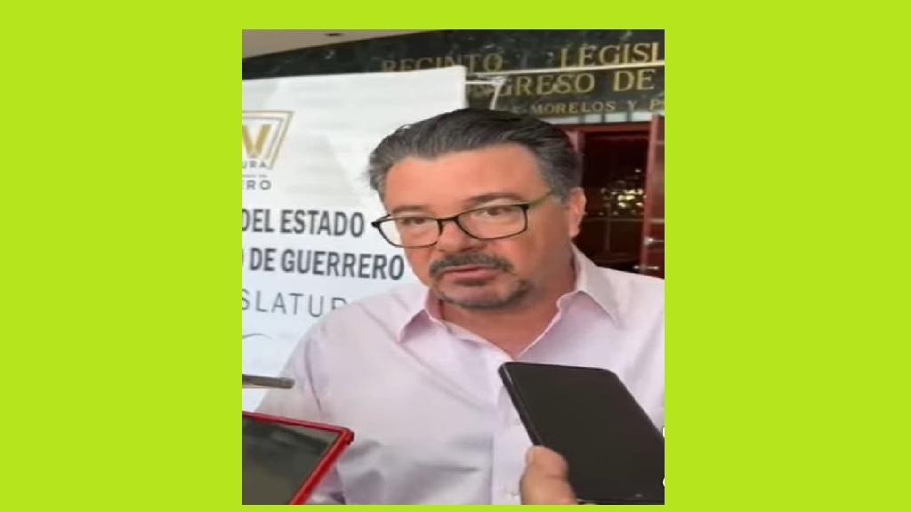 PVEM no respaldará la reforma electoral si no se modifican financiamiento y plurinominales