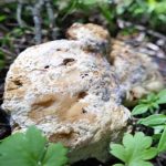 Coinciden Saldaña y Lonardoni en forma de transformar agua y espacio público en Ciudad de México