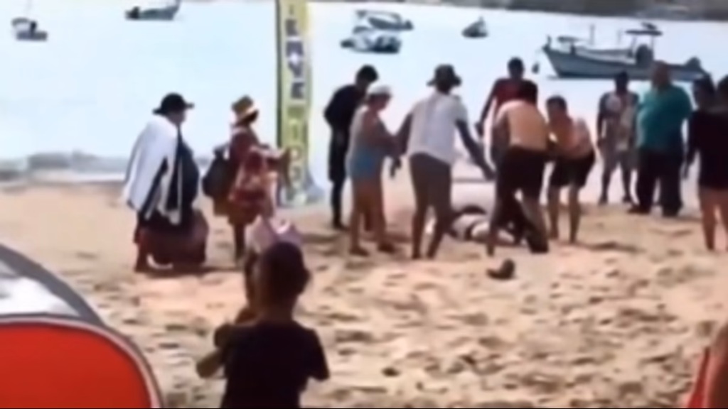 Mueren ahogados 16 turistas en Guerrero ahogados, accidentados y asesinados más en Semana Santa