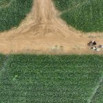 Anuncia Coparmex primer foro de responsabilidad empresarial en Acapulco